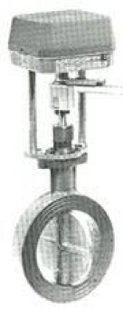 DR50 