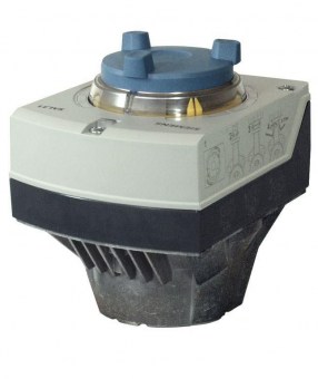 SAL31.00T10NS 